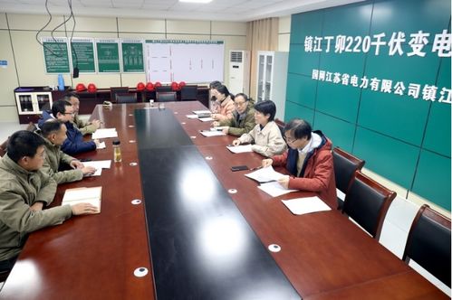 國網(wǎng)江蘇電力工程咨詢公司紀委 線上線下聯(lián)動織密防疫網(wǎng)，全力護航工程現(xiàn)場安全