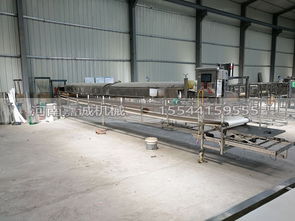 國內知名紅薯粉皮加工設備選購指南 廠家、價格與銷售熱線